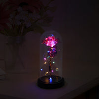 Charm Aura Butterfly Rose Gift
