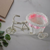 Bike Blossom