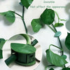 Plant Climbing Wall Clip,Self-Adhesive Vines Support Hooks for Indoor & Outdoor (10 Pcs Set)