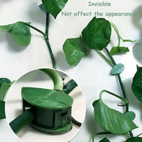 Plant Climbing Wall Clip,Self-Adhesive Vines Support Hooks for Indoor & Outdoor (10 Pcs Set)