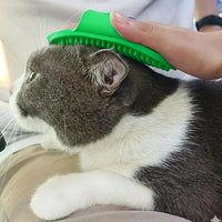 Scrub Brush