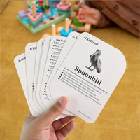 KidKraft Early Learner Educational Flashcards – 32 Birds