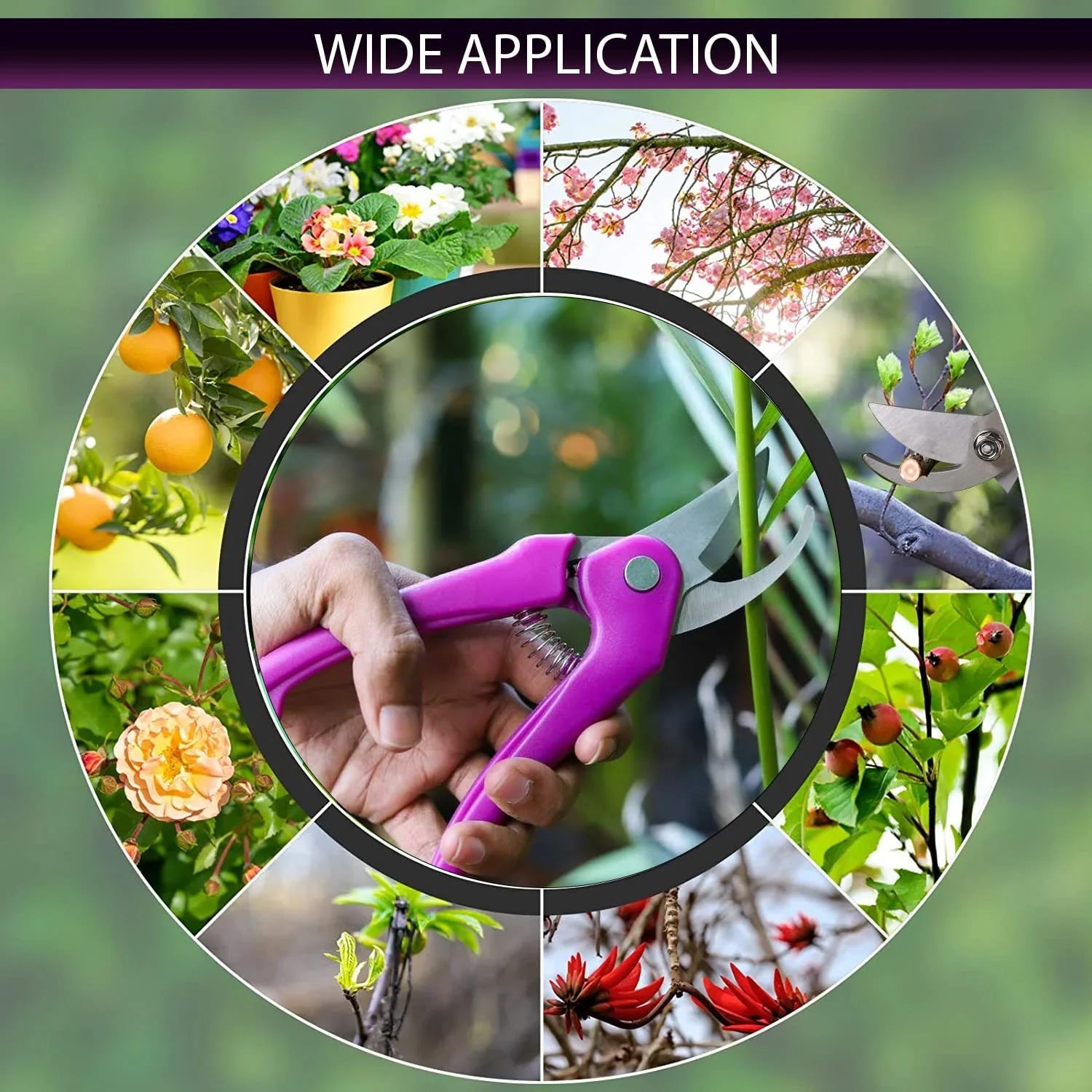 Complete Gardening Tool Kit (1 Set)
