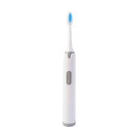 Dental Brush