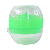 Fruit Juicer
