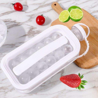 FlexiFreeze Foldable Ice Tray with Lid | 2-in-1 Ice Ball Maker Kettle