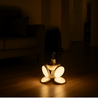 Solar Multi-Functional Emergency LED Light
