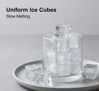 Supermom Frizzy Ice Tray with 2-in-1 Compartment for Ice Cubes and Storage Box (1 Pc)