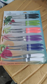 Stainless Steel Multipurpose Serrated Knife Set (12 Pc)