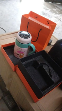 Water Bottle with LED Display