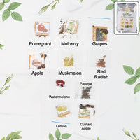 Fruit Seeds Pack