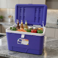 portable ice storage cooler box