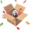  Mega Lucky Box