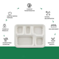 5-Compartment Rectangle Lunch Compostable Bagasse Plate – 10 Pcs Pack